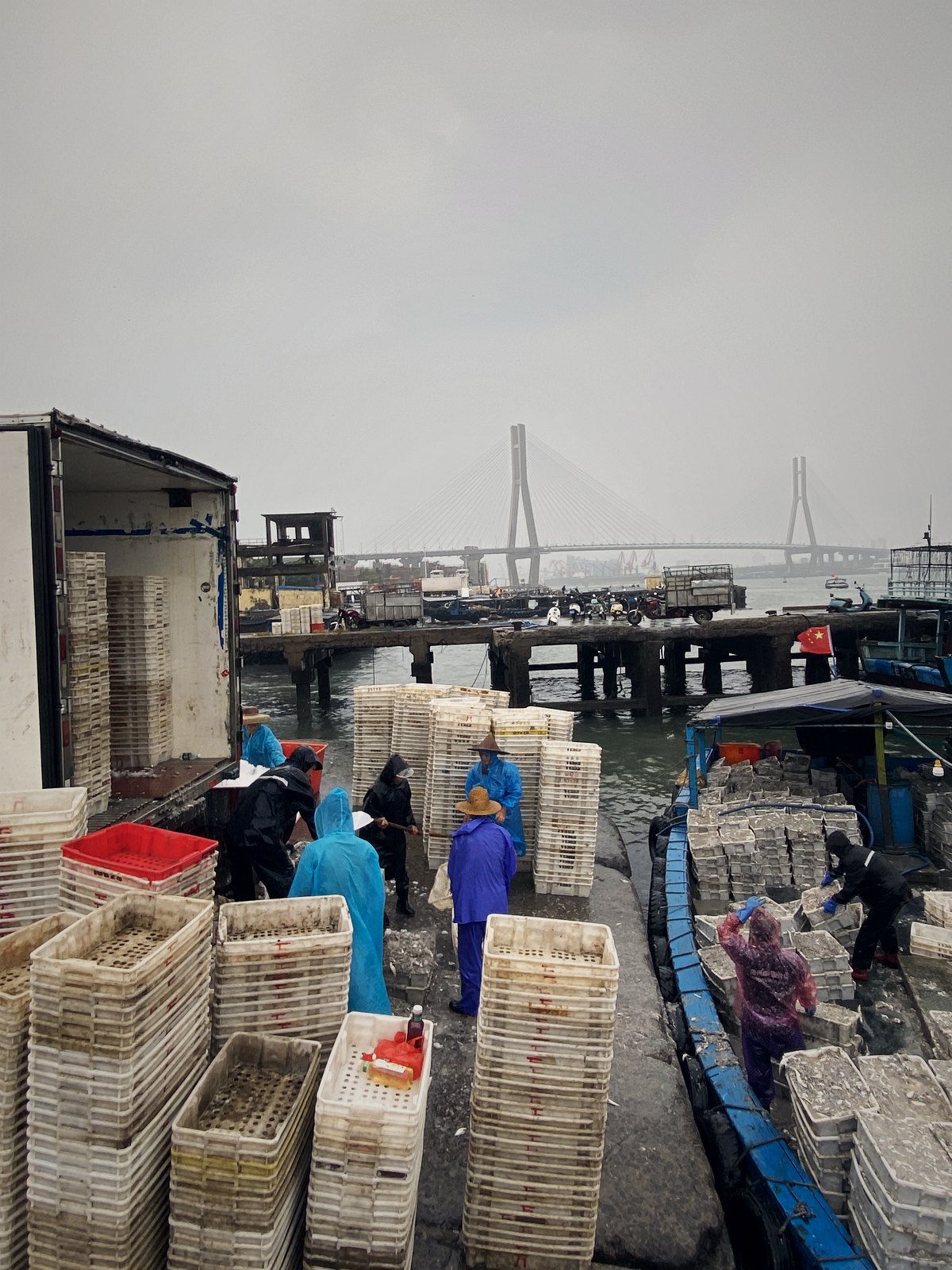 十几公里外的白马井渔港,远处是洋浦大桥——古老盐田身边的现代世界(实拍)
